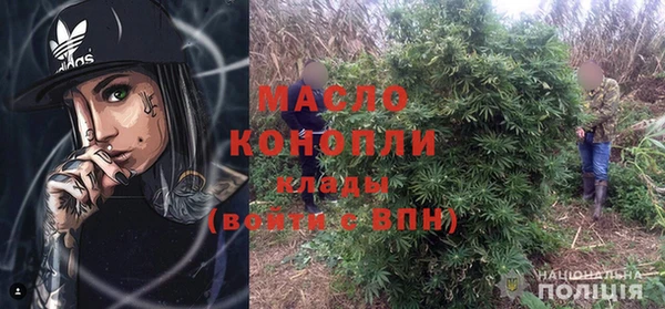 гидра Богородск