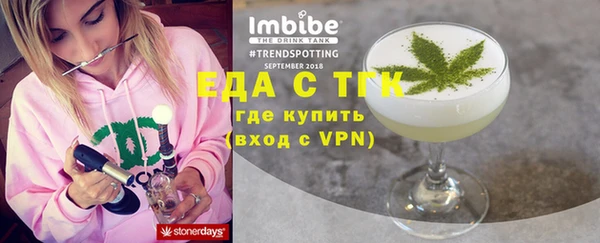 гидра Богородск