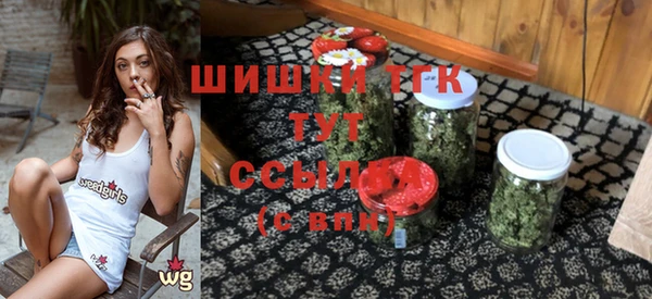 гидра Богородск