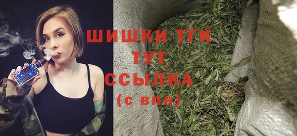 гидра Богородск