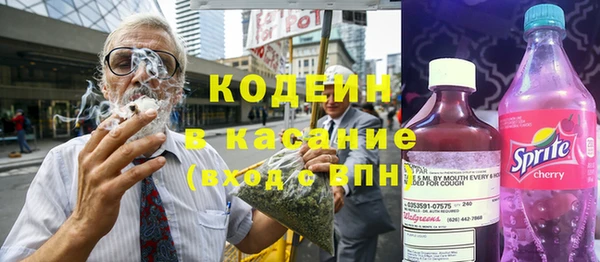 гидра Богородск