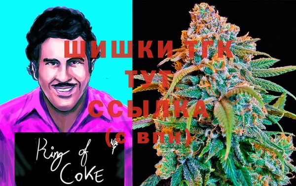 МДПВ Богородицк